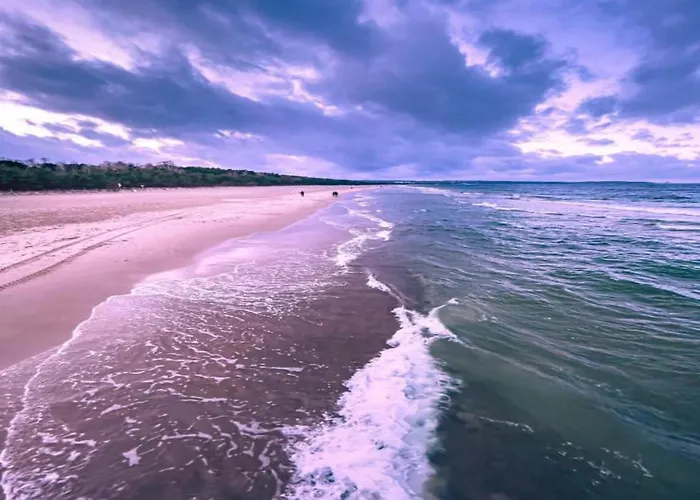 In Gdynia Near Baltic Beach, Cleaning Included *