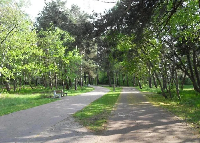 In Gdynia Near Baltic Beach, Cleaning Included * Danzica